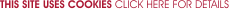 The International Craft & Hobby Fair site uses Cookies - click here for more information